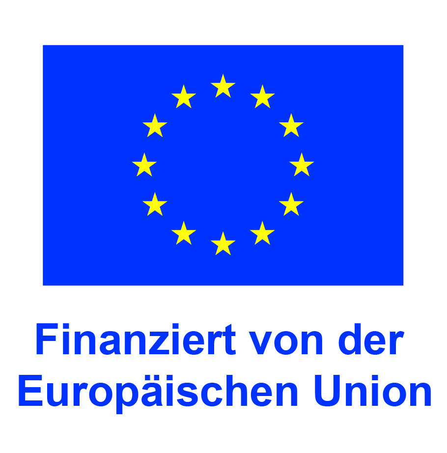 DE_Finanziert_von_der_Europaeischen_Union_POS